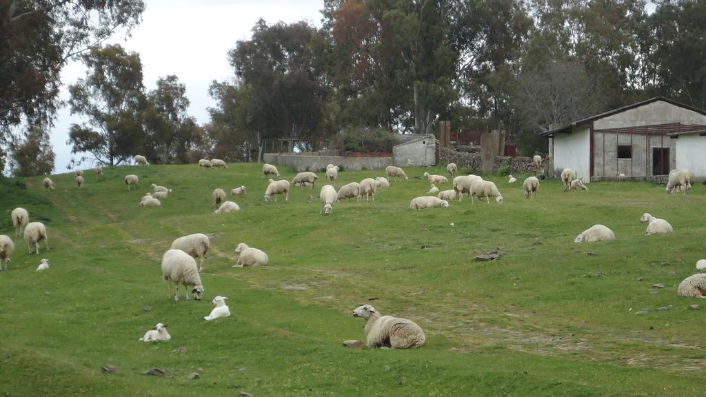 Casas Rurales El Caminante Aldeanueva del Camino Dış mekan fotoğraf