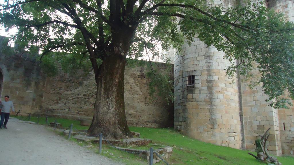 Casas Rurales El Caminante Aldeanueva del Camino Dış mekan fotoğraf